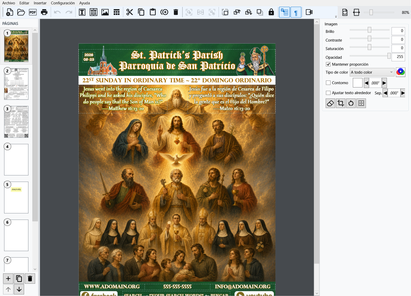 Imagen de portada seleccionada en Catholic Publisher con los controles de apariencia
